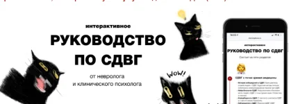 7sKcnieVSNSugZ1G76uZZw.webp