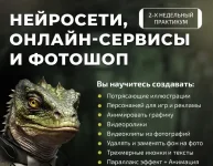 1 (1).webp