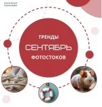 1733122580347.webp