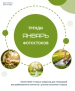 1733122580347.webp