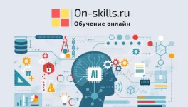 1713943033572.webp