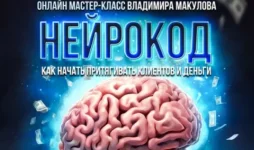 01.webp 01.webp
