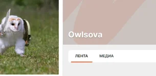 01.webp 01.webp