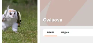01.webp