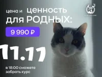 01.webp 01.webp